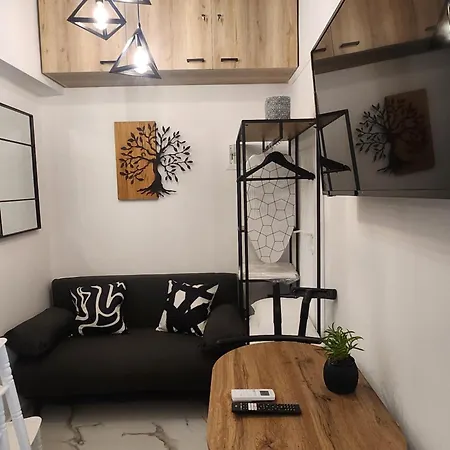 Luxury Artisti Elena 2 Apartment