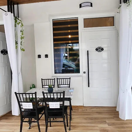 Luxury Artisti Elena 2 Apartment